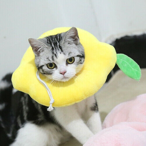 Cute Fruit Recovery Collar for Cats & Dogs | Soft Adjustable E-Collar After Surgery