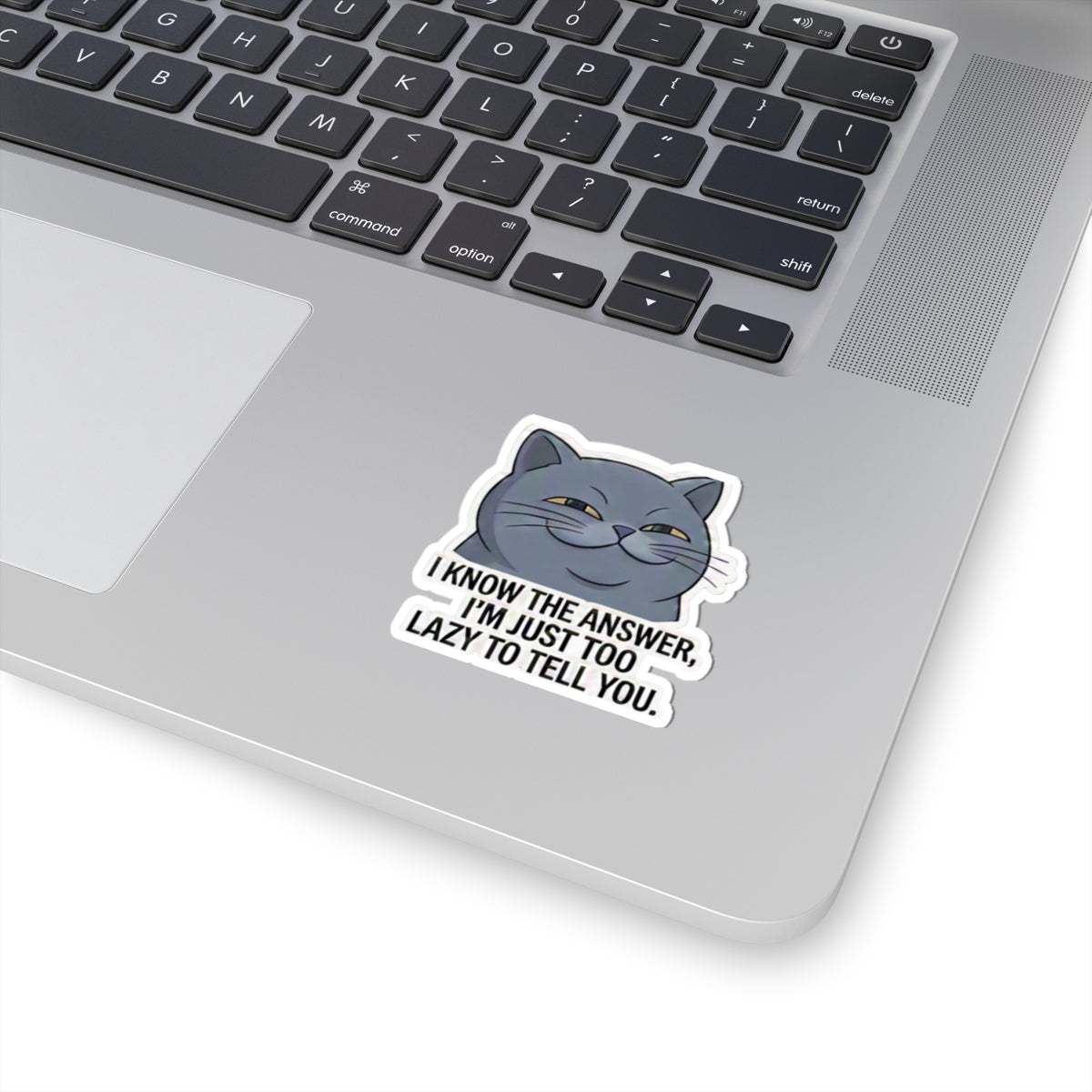 Smug Grey Cat I Know The Answer I'm Just Too Lazy To Tell You Sticker | Kiss-Cut Sticker