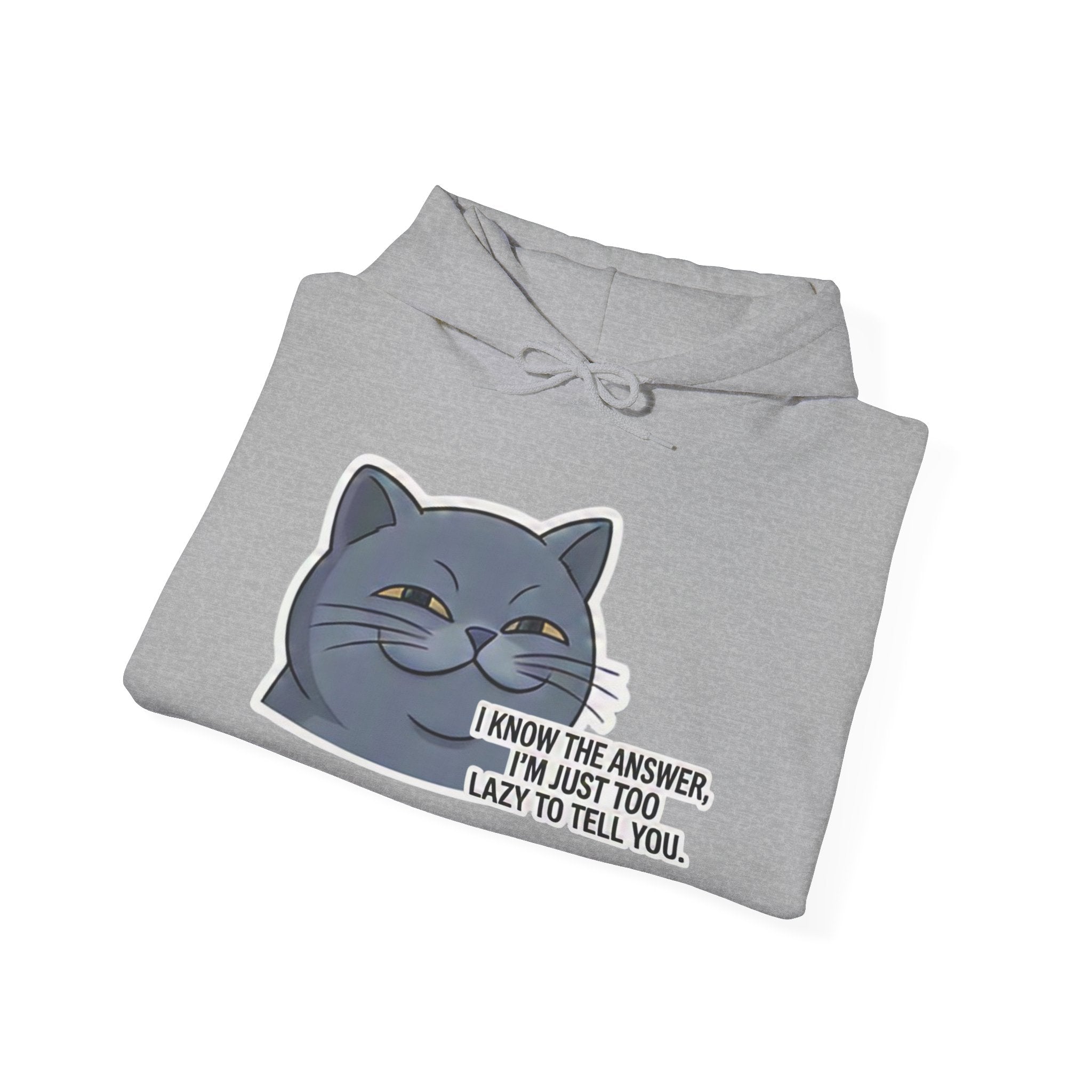 Smirking Cat I Know The Answer Hoodie | Funny Cat Quote Sweatshirt
