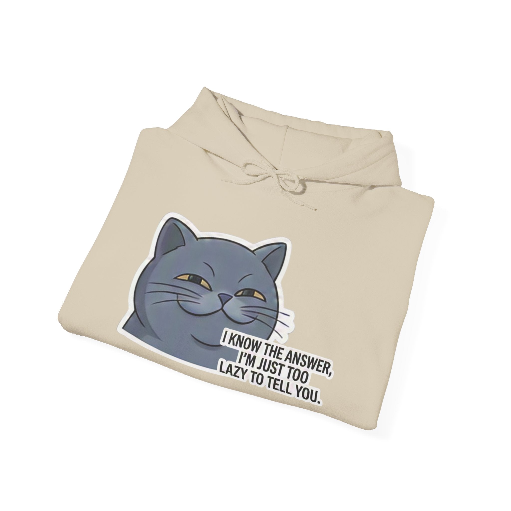Smirking Cat I Know The Answer Hoodie | Funny Cat Quote Sweatshirt