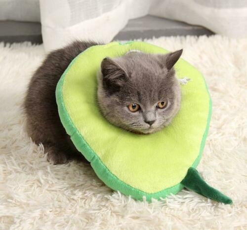 Cute Fruit Recovery Collar for Cats & Dogs | Soft Adjustable E-Collar After Surgery