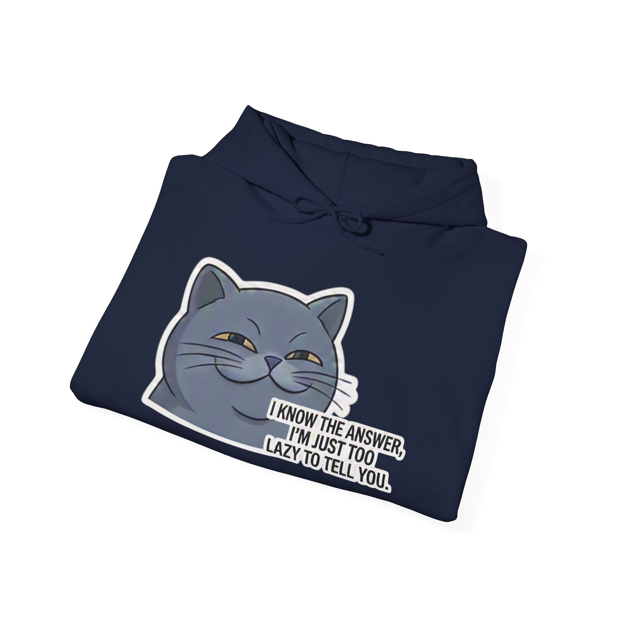 Smirking Cat I Know The Answer Hoodie | Funny Cat Quote Sweatshirt