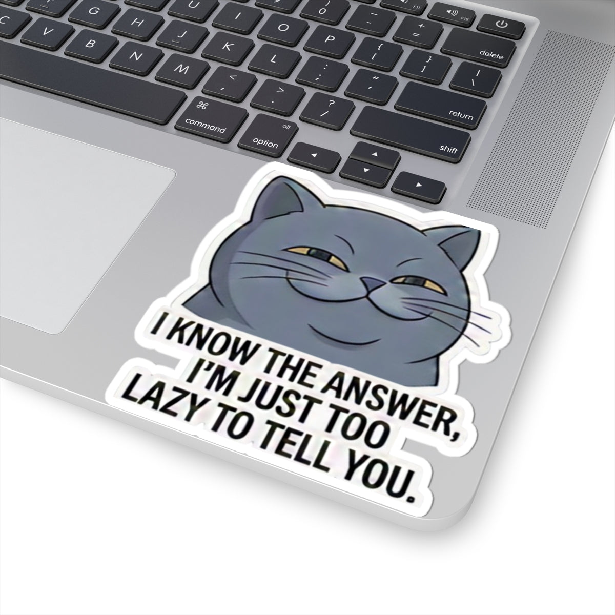 Smug Grey Cat I Know The Answer I'm Just Too Lazy To Tell You Sticker | Kiss-Cut Sticker