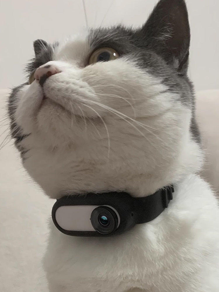 Pet Collar Camera | Wireless Indoor & Outdoor Recording for Cats & Dogs