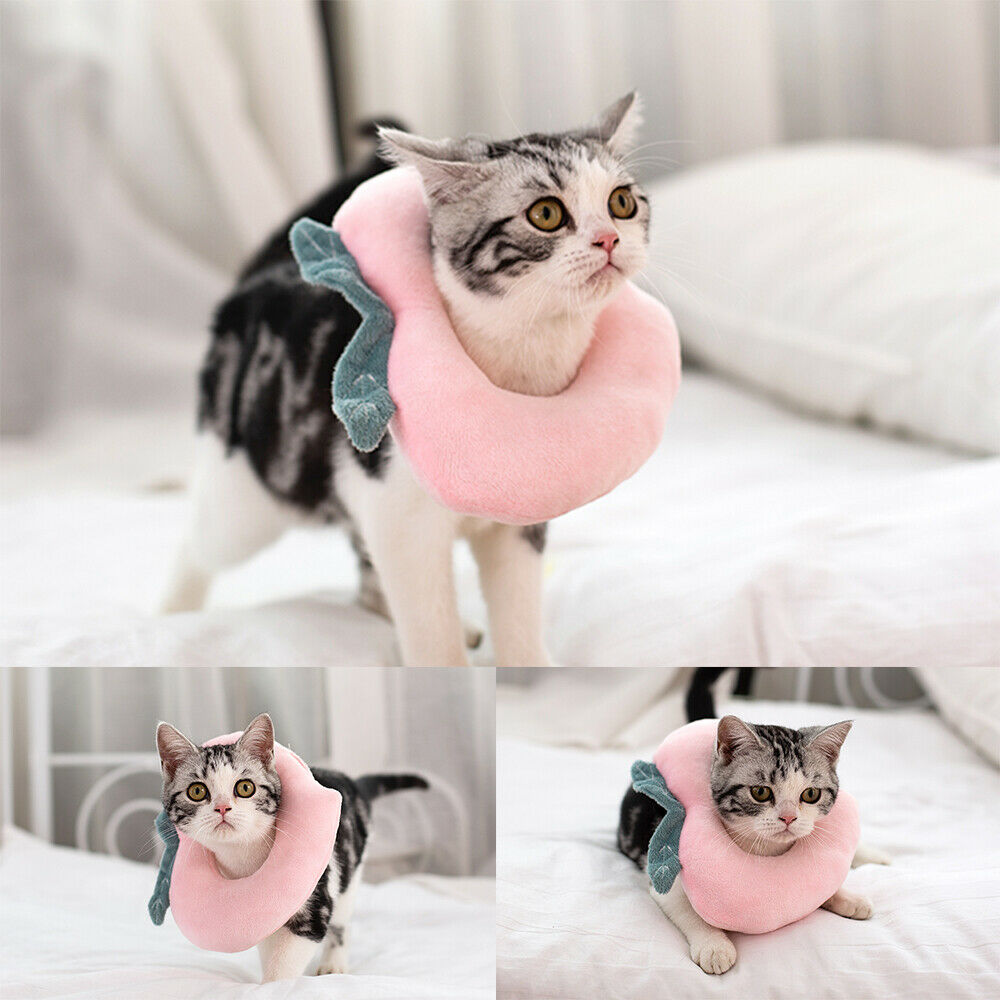 Cute Fruit Recovery Collar for Cats & Dogs | Soft Adjustable E-Collar After Surgery