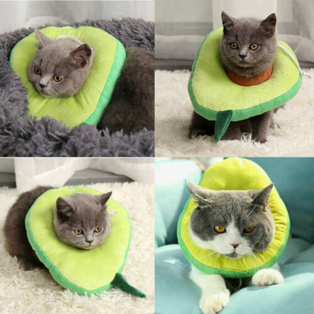 Cute Fruit Recovery Collar for Cats & Dogs | Soft Adjustable E-Collar After Surgery