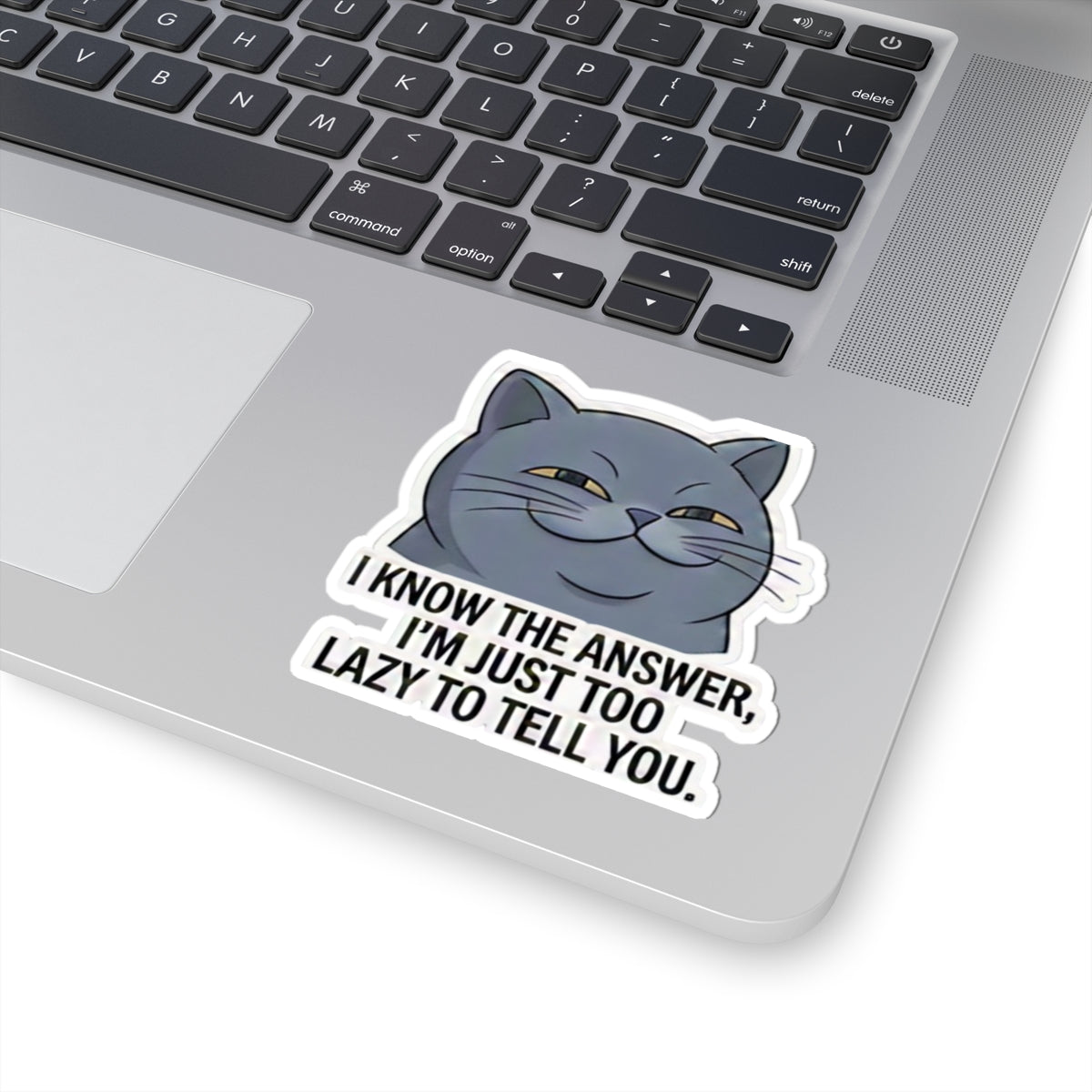 Smug Grey Cat I Know The Answer I'm Just Too Lazy To Tell You Sticker | Kiss-Cut Sticker