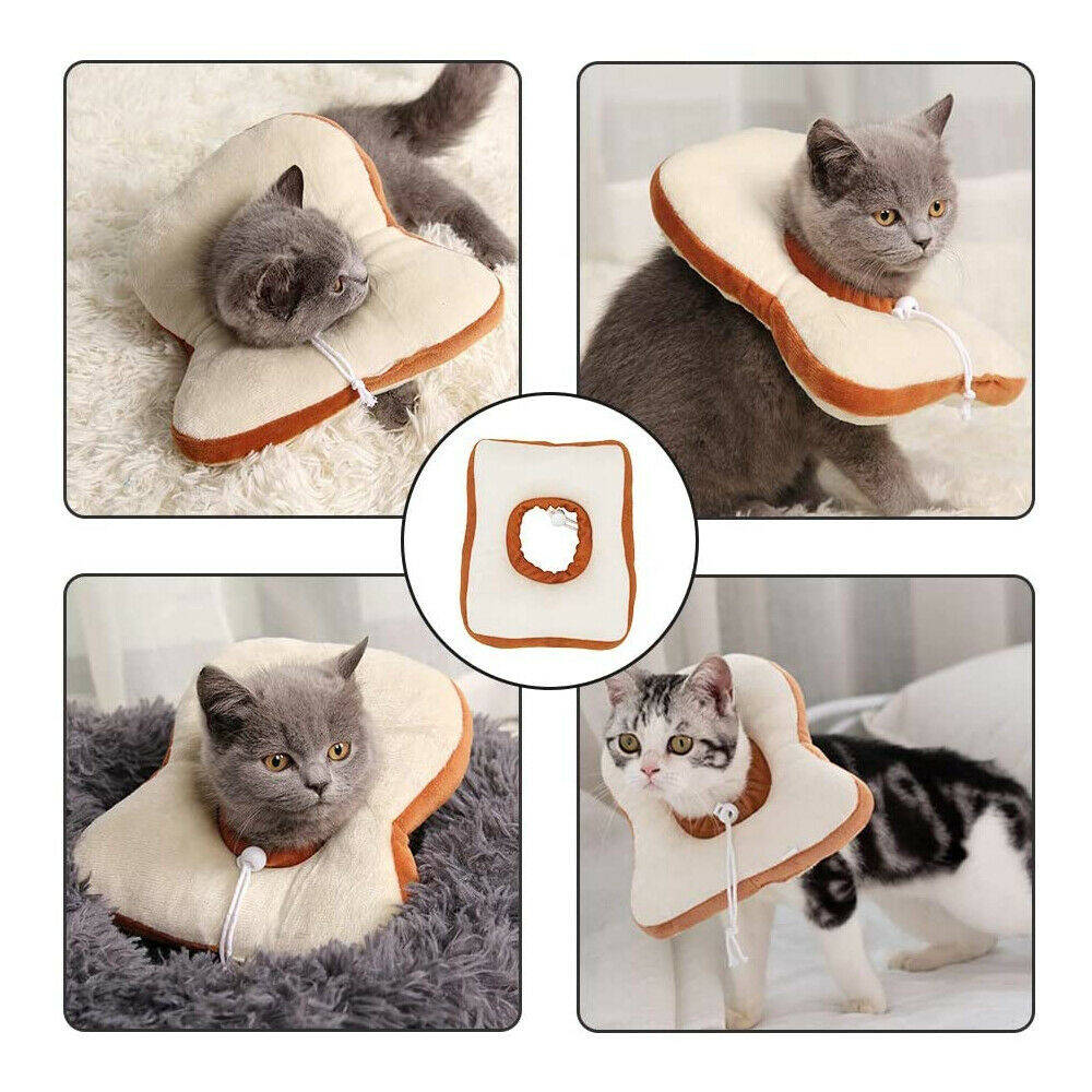 Cute Fruit Recovery Collar for Cats & Dogs | Soft Adjustable E-Collar After Surgery
