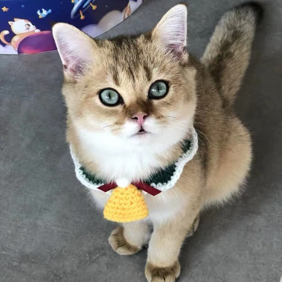 Handmade Wool Pet Collar | Festive Christmas Design for Cats & Dogs
