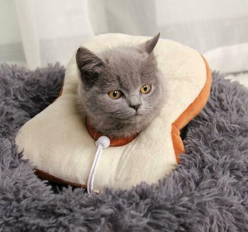 Cute Fruit Recovery Collar for Cats & Dogs | Soft Adjustable E-Collar After Surgery